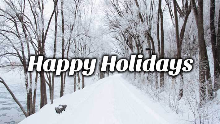 A snowy road with tree aliening the road