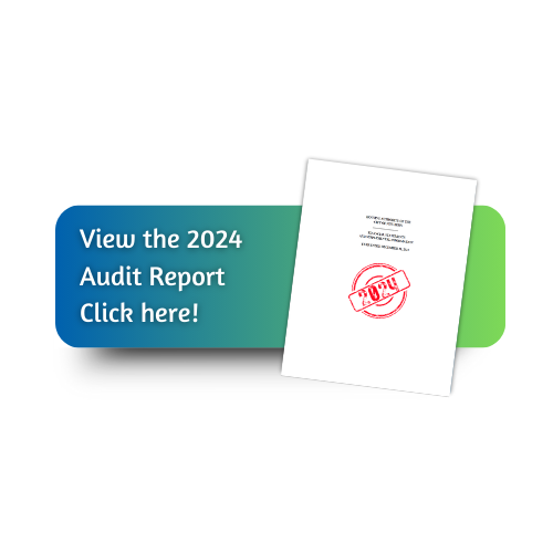 Audit download graphic  2.png