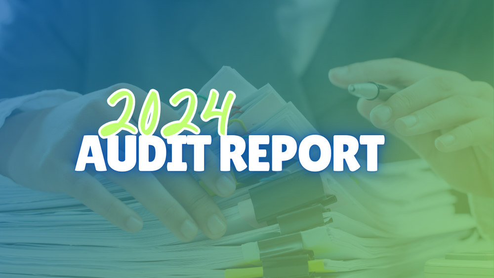 Audit Report.png